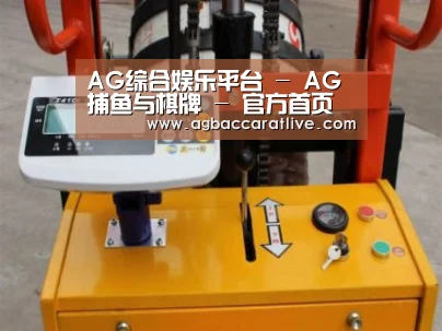 AG综合案例展示三