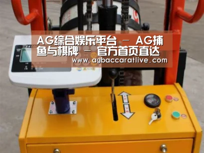 AG综合案例展示三(图1)