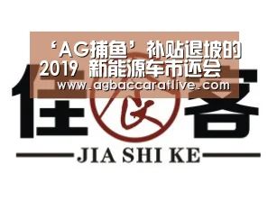 ‘AG捕鱼’补贴退坡的2019 新能源车市还会持续火爆吗?(图1) AG直达