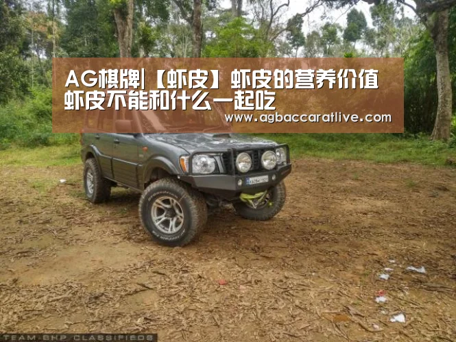 AG综合