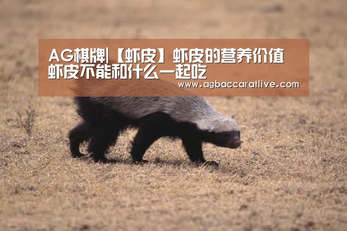 AG直达