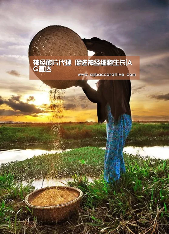 神经酸片代理 促进神经细胞生长|AG直达(图1) AG综合