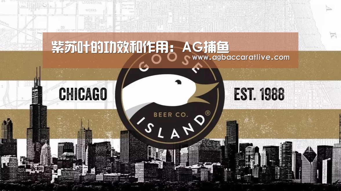 紫苏叶的功效和作用:AG捕鱼(图2) AG棋牌
