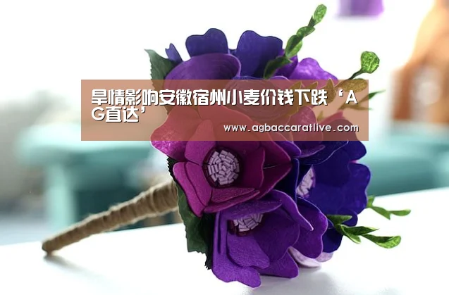 AG综合